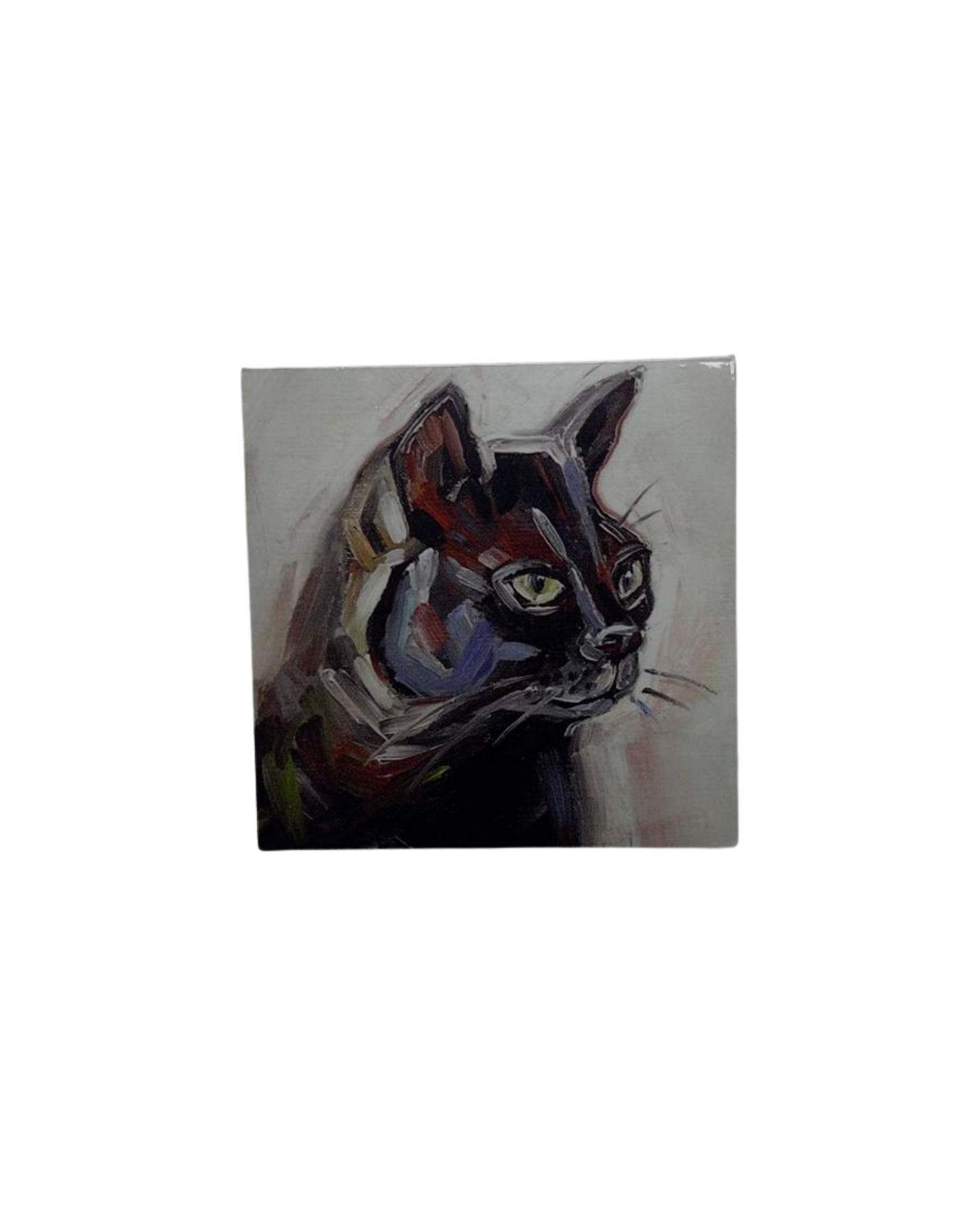 1er Steckdosen-Abdeckung (Foliert)