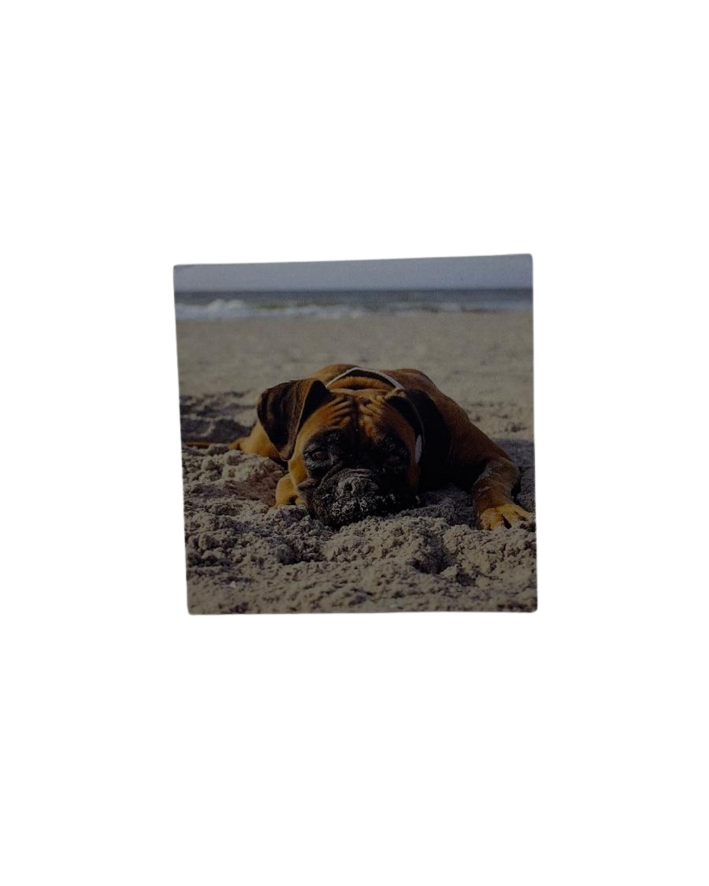 1er Steckdosen-Abdeckung (Foliert)